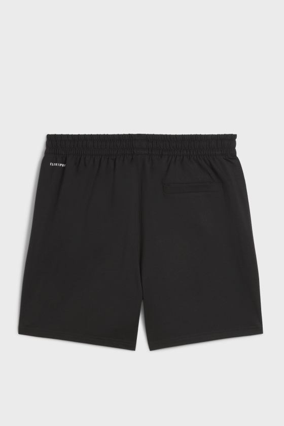 Шорты мужские PUMA CLOUDSPUN 5 <span>526690_01</span>