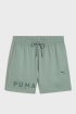 Шорти чоловічі PUMA CLOUDSPUN 5