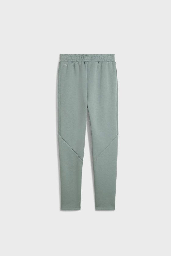 Штани спортивні жіночі PUMA EVOSTRIPE <span>685051_30</span>