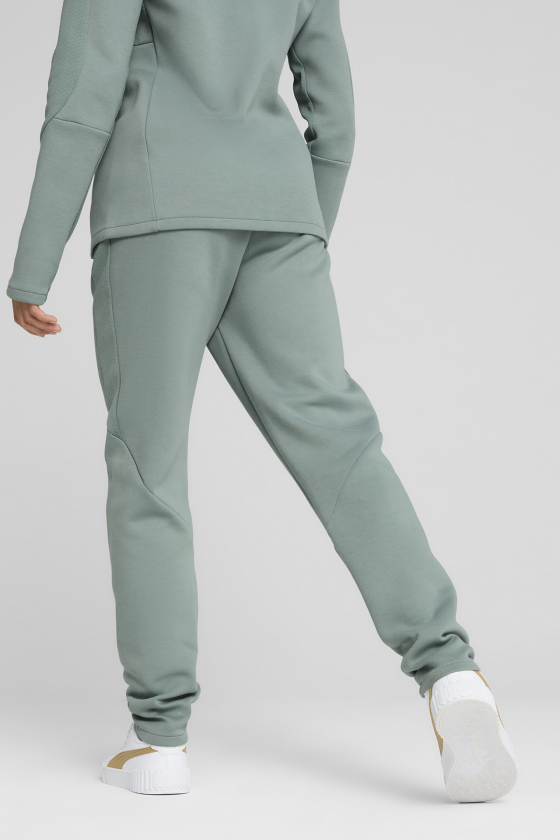 Штани спортивні жіночі PUMA EVOSTRIPE <span>685051_30</span>