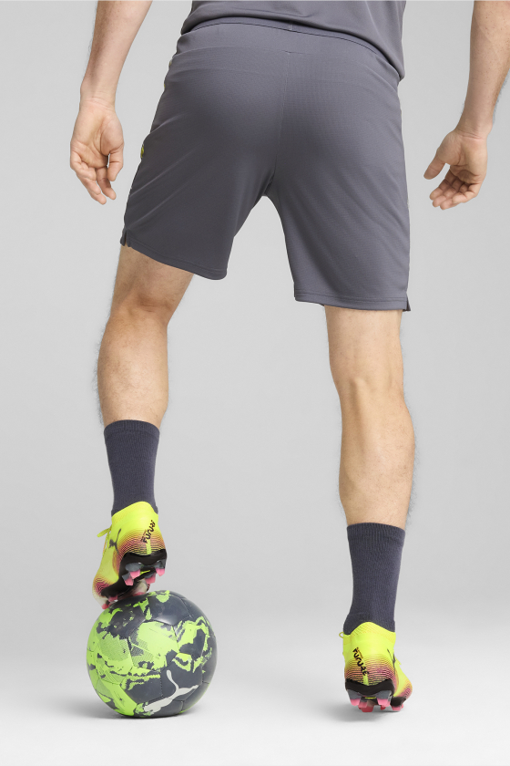 Шорти чоловічі PUMA Individualcup <span>65989708</span>