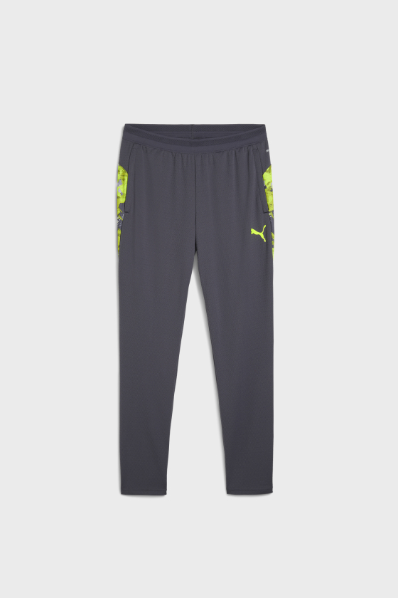 Штаны спортивные мужские PUMA IndividualCUP <span>65989908</span>