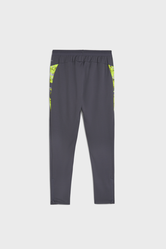 Штаны спортивные мужские PUMA IndividualCUP <span>65989908</span>