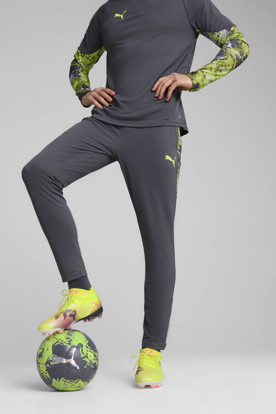 Штаны спортивные мужские PUMA IndividualCUP <span>65989908</span>