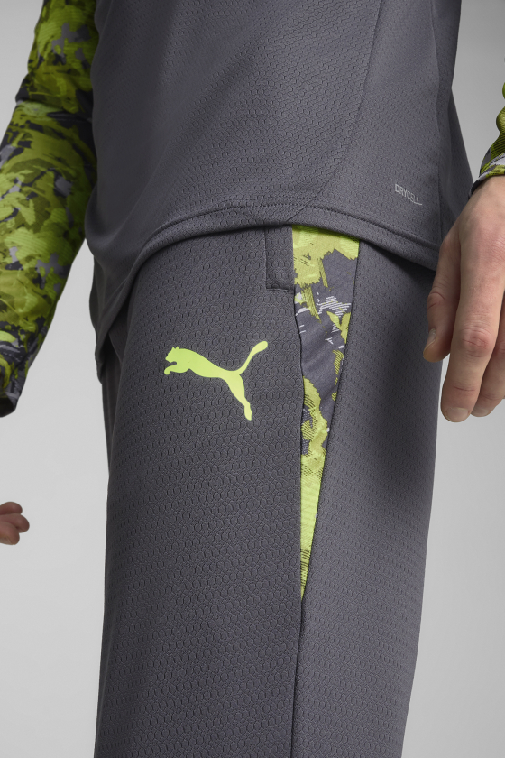 Штаны спортивные мужские PUMA IndividualCUP <span>65989908</span>