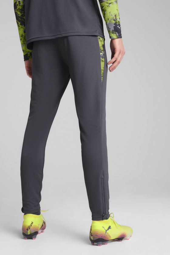 Штаны спортивные мужские PUMA IndividualCUP <span>65989908</span>