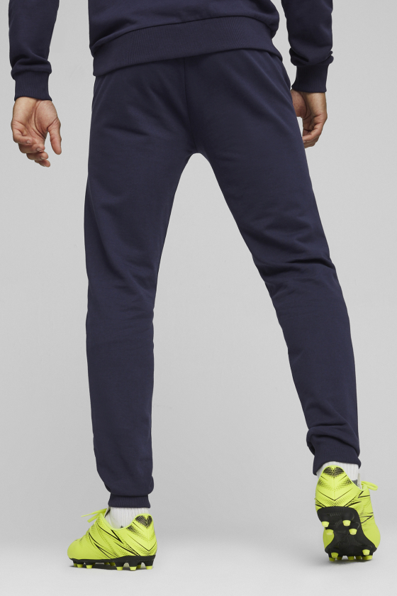 Штани спортивні чоловічі PUMA Teamgoal Casuals <span>658598_06</span>